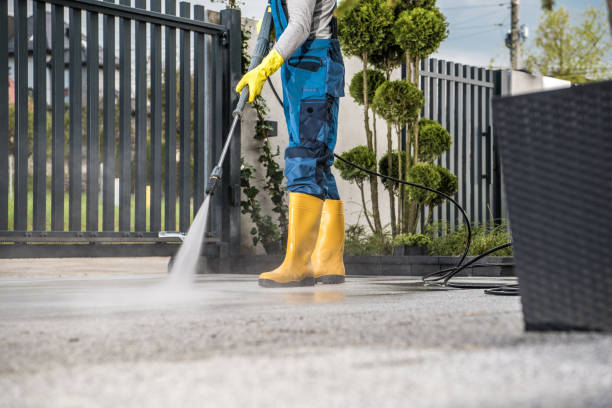 Best House Pressure Washing  in Lake Katrine, NY