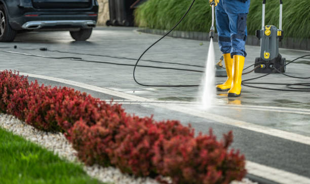 Best Roof Power Washing Services  in Lake Katrine, NY
